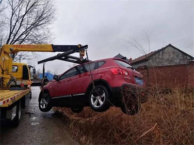 扶绥楚雄道路救援